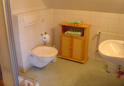 Badezimmer mit Dusche und WC