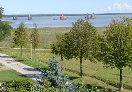 Blick aus dem Wohnzimmerfenster