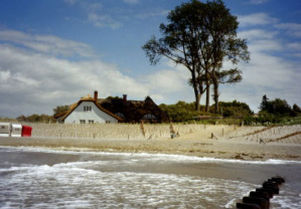 Der Ahrenshooper Strand