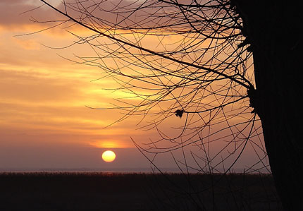 Sonnenaufgang &uuml;ber Ahrenshoop