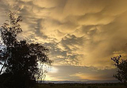 Wattewolken &uuml;ber Ahrenshoop