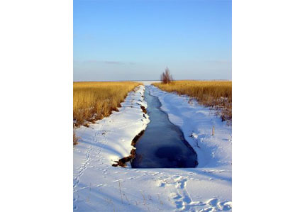 Winter in Ahrenshoop